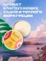 Массажная свеча / Массажное масло / Ароматическая свеча /, Picanto cosmetics, "Love in Athens" с ароматом мускуса и пачули, 43 мл