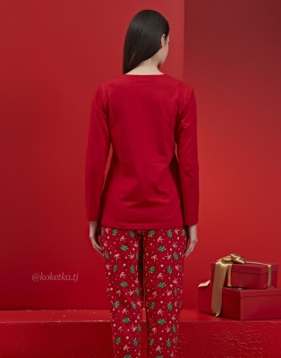 Домашний комплект с футболкой и штанами