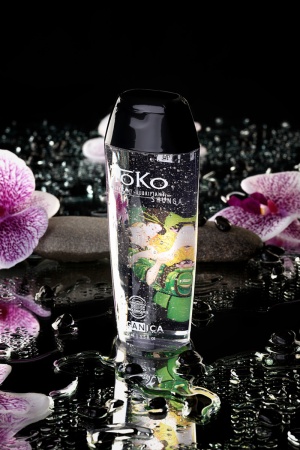 Лубрикант Shunga Toko Organica на водной основе, 165 мл