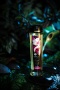 Масло для массажа Shunga Amour «Sweet Lotus», с ароматом цветов лотоса, возбуждающее, 240 мл