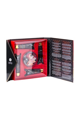 Набор Shunga Geisha's Secret, клубника и шампанское