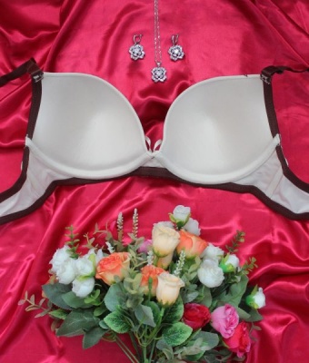 Бюстгальтер