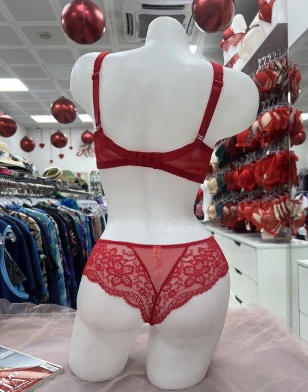 Бюстгальтер с трусиками