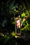 Масло для массажа Shunga Coconut Thrills, с ароматом персика, возбуждающее, 240 мл